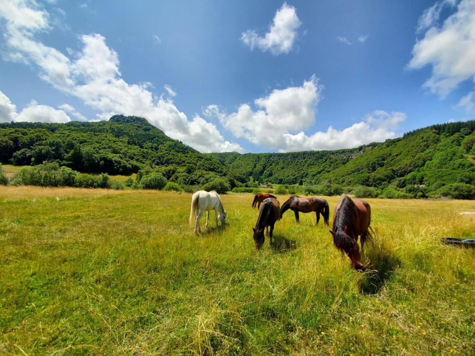 Sancy Resort Шамбон-сюр-Лак Экстерьер фото
